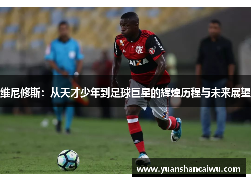 维尼修斯：从天才少年到足球巨星的辉煌历程与未来展望